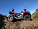LEIE AV ATV 400-600cc  thumbnail
